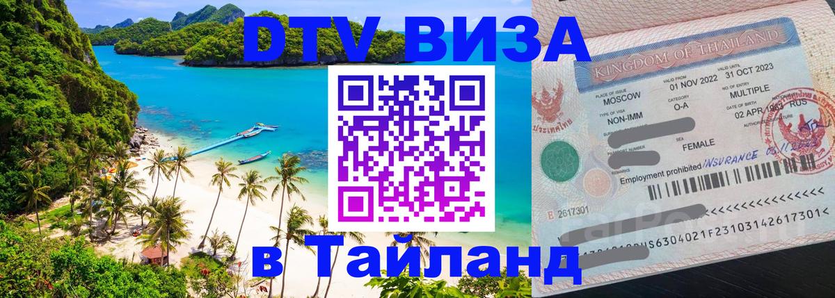 Сколько стоит DTV виза — актуальные цены, оформление даже без документов - 19.11.2025 